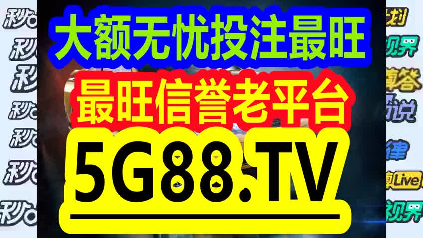 管家婆2024资料精准大全，特有释义、解释与落实