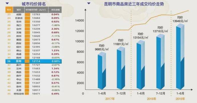 二四六香港天天开彩大全与落实工作细节，从毫厘之间洞悉全局