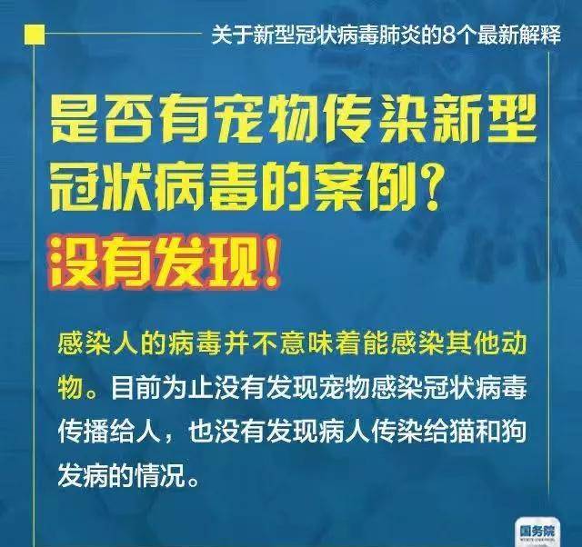 新澳门天天开将资料大全，真挚释义、解释与落实