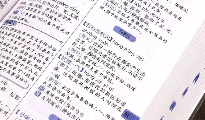 最准一肖一码与精准软件的探索，成语释义解释落实的深度解读