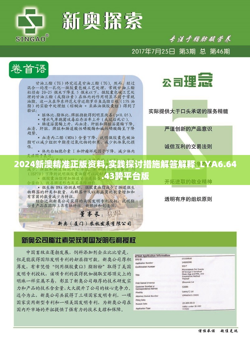 新澳2024年精准资料220期，工具释义解释落实的全面解读