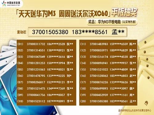 探索与分享，关于2024天天彩资料大全免费600的域解释义与实施策略