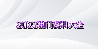 澳门正版开奖资料免费大全特色解析与风险释义落实