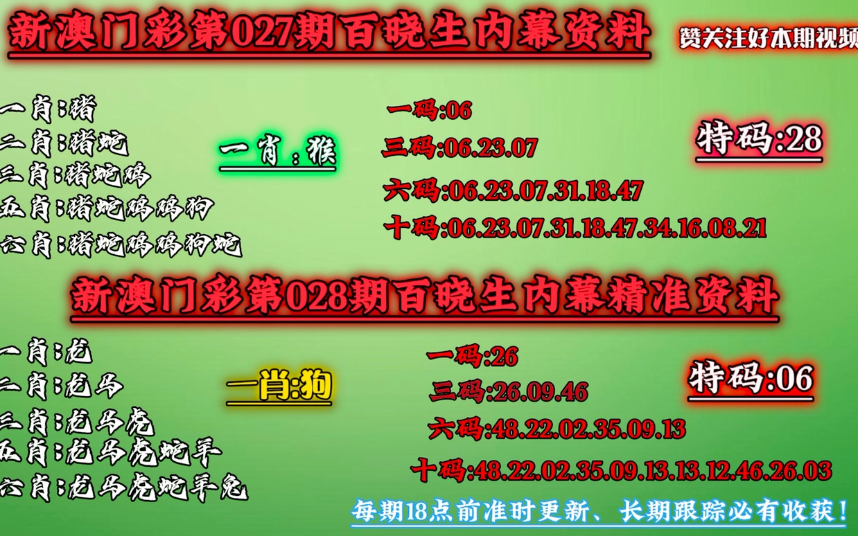 新澳门精准四肖期期中特公开，重要释义解释与落实策略