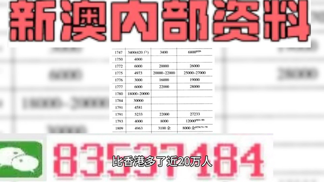 澳门天天开好彩大全第46期，精准释义、解释与落实之道