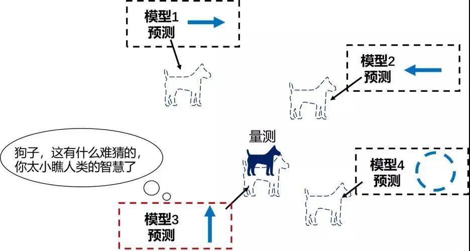 探索精准跑狗图，从正版到定夺释义的全面解读