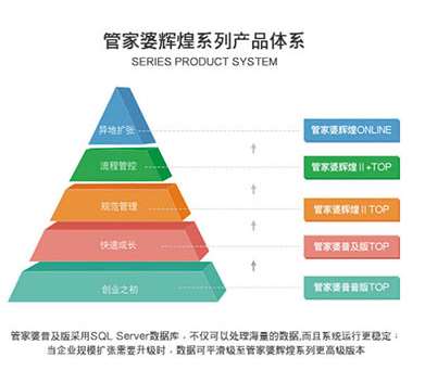 探索管家婆的奥秘，效率释义与落实之道