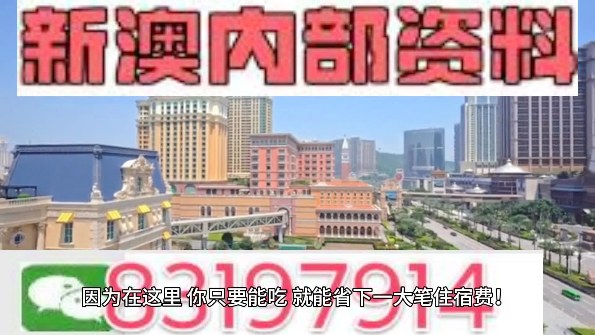 新澳2024年精准一肖一码，逐步释义解释与落实策略