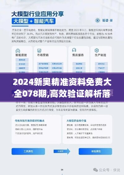 关于2024新奥精准正版资料与执行释义解释落实的深度解析