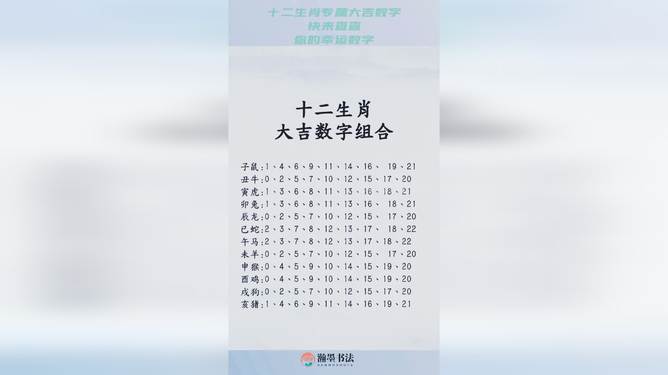 揭秘十二生肖与数字49的奥秘，损益释义与行动落实