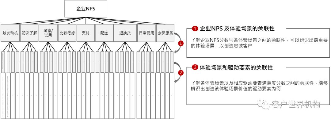 新澳精准资料大全与责任释义，落实行动的关键要素分析