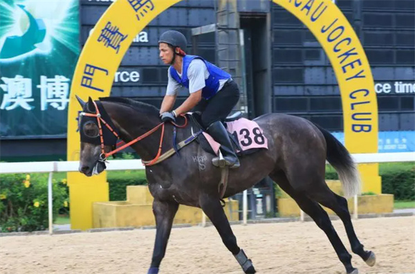 澳门特马今晚开奖138期，现状释义解释与落实的探讨