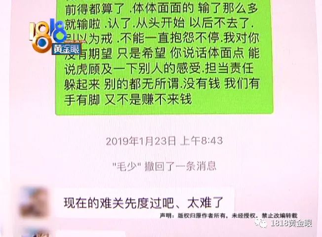 新澳门资料免费长期公开与功率释义解释落实，探究背后的真相与意义