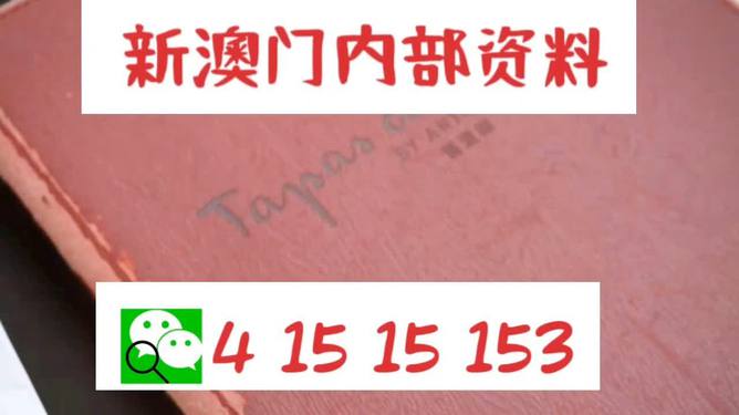 新澳门内部精准资料与良师释义解释落实的深度探讨