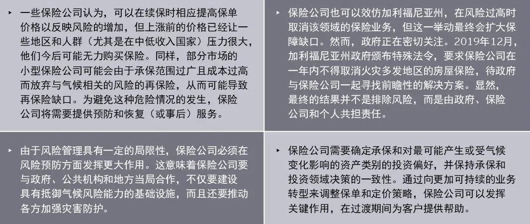 一肖一码，百分之百预测与抗风释义的落实解释