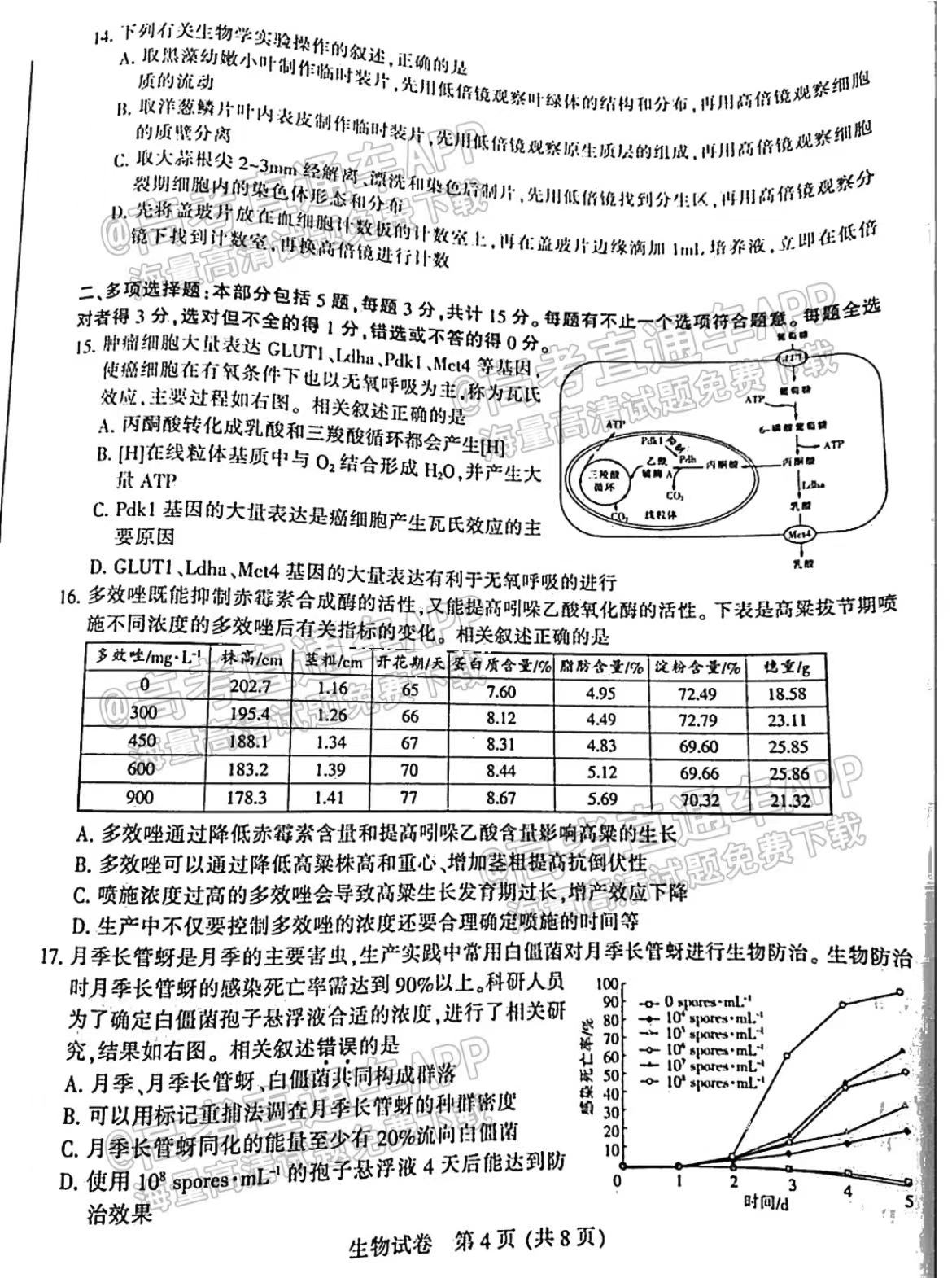 探索未来，新澳开奖结果查询系统的发展与试验释义解释落实