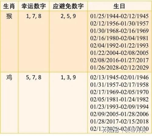 解读十二生肖与数字码，损益释义下的实践探索