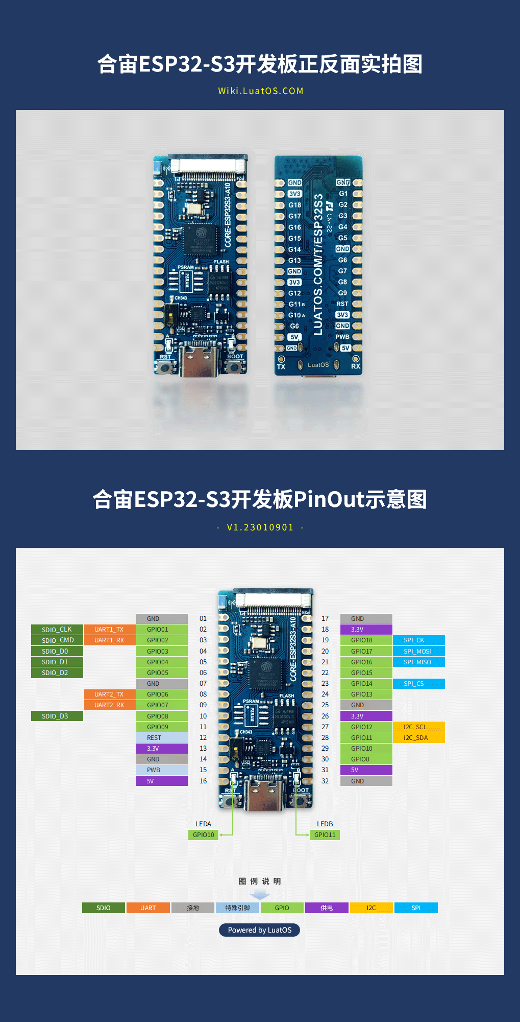 三肖必中特三肖三码免费公开，深度解读与实际应用