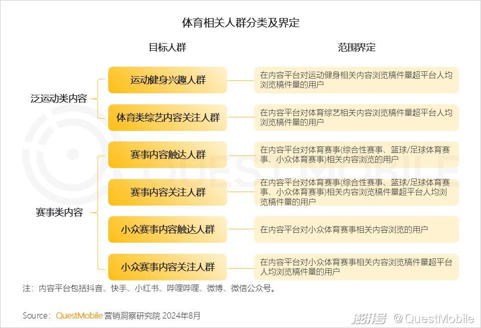 免费提供的精准资料，新奥跟踪释义解释与落实的深入洞察（2004年）