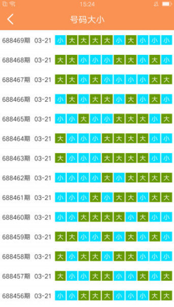 澳门天天开好彩大全第53期，追求释义解释落实的启示