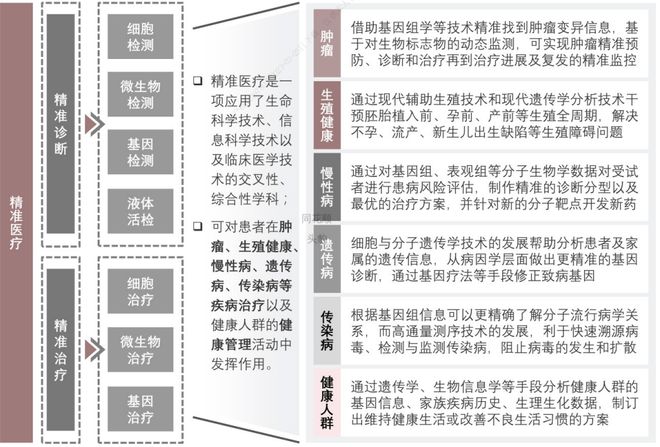 精准跑狗图，踏实释义与行动落实的重要性