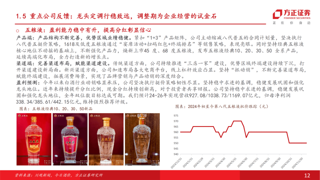 探索跑狗图，线上释义与落实策略的新篇章（2025年最新版）