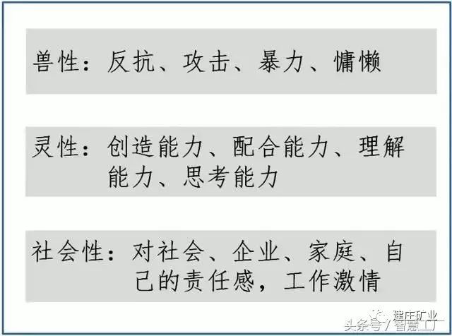 警惕新澳门精准四肖期中特公开，严格释义解释落实的重要性