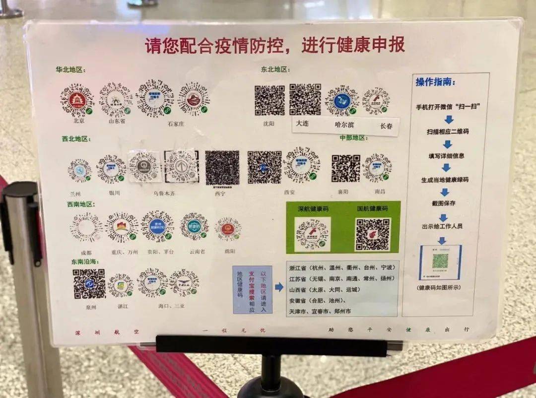 一码一肖一特马报，案例释义、解释与落实