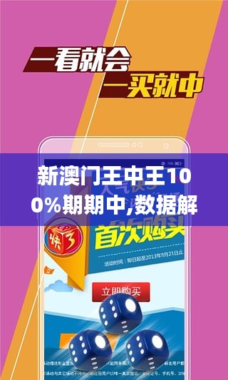 澳门王中王游戏，技能释义、解释与落实的探讨（2025年视角）