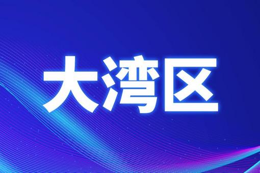 管家婆2025澳门正版资料与个性释义解释落实深度探讨