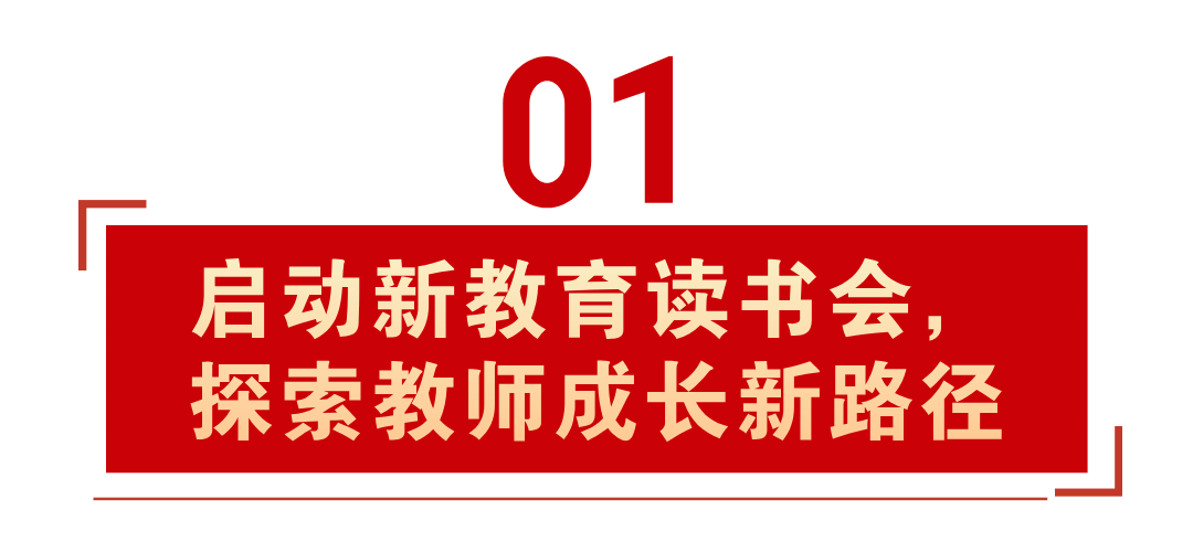 新澳教育释义解释落实，面向未来的教育蓝图（2025展望）