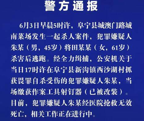 关于澳门正版免费资木车的断定释义与解释落实——警惕网络犯罪与虚假信息的重要性