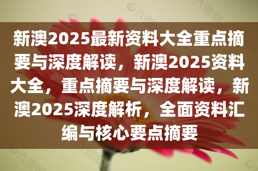 新澳2025年精准资料33期与闪电释义解释落实