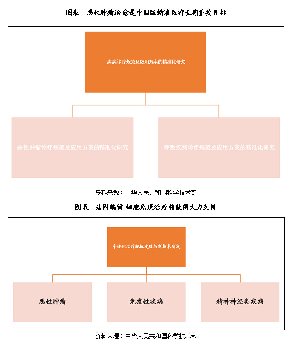 关于精准马会传真图与观点释义解释落实的探讨