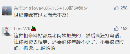 澳门特马今晚开什么，释义、规避与解释落实