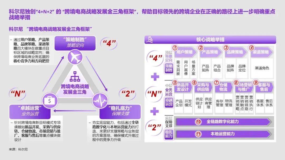 解读澳家婆一肖一特策略，力策释义与落实之路