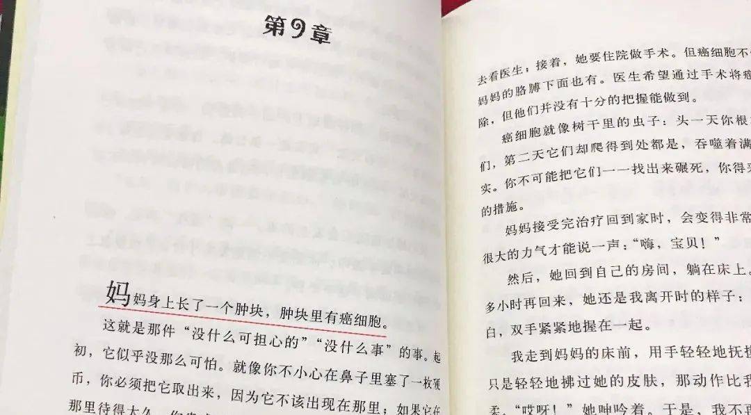 关于压力释义解释落实的文章，探索压力的真谛与应对之道