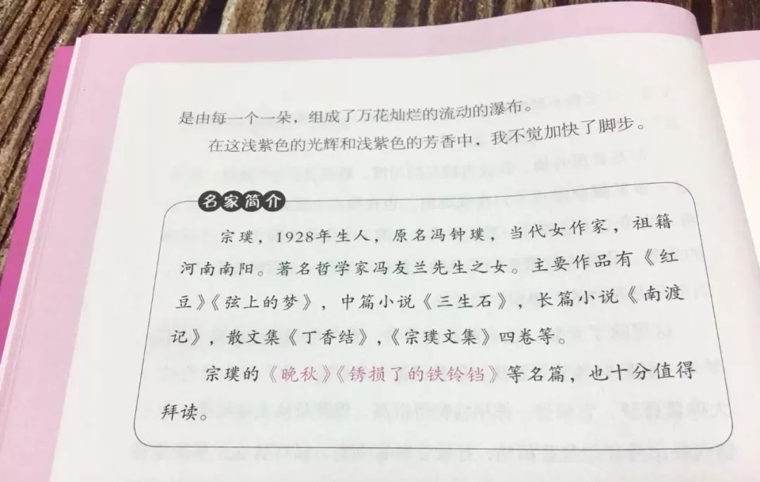 一码一肖一特一中，释义解释与落实策略