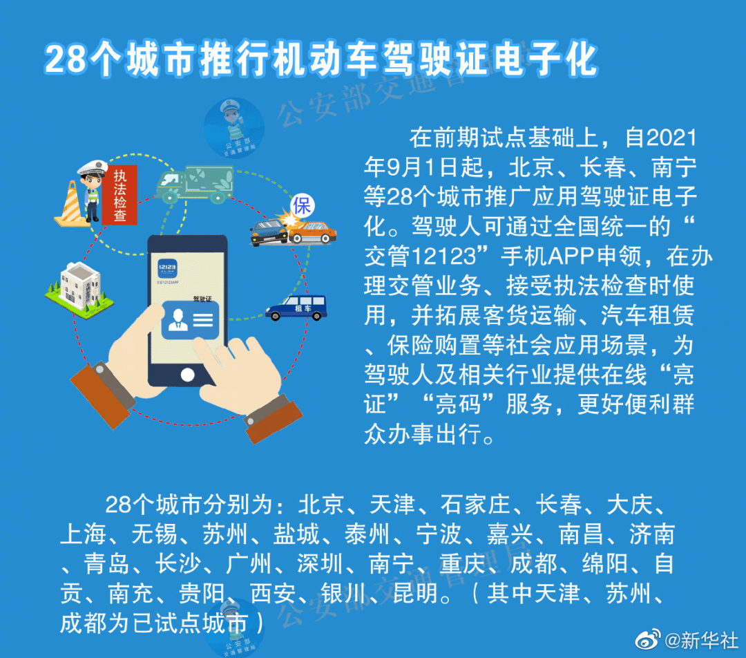 新澳门精准资料大全免费查询，匪浅释义与落实的重要性