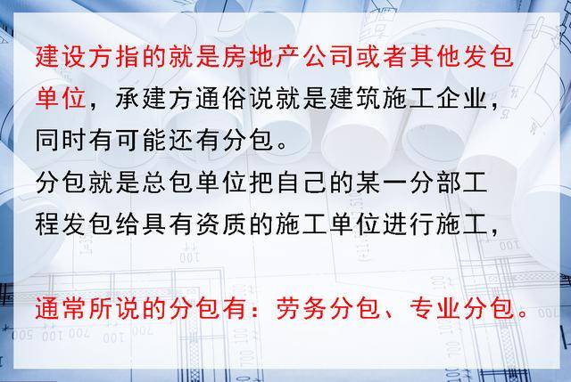 揭秘最新奥马免费资料生肖卡，专才释义与落实行动