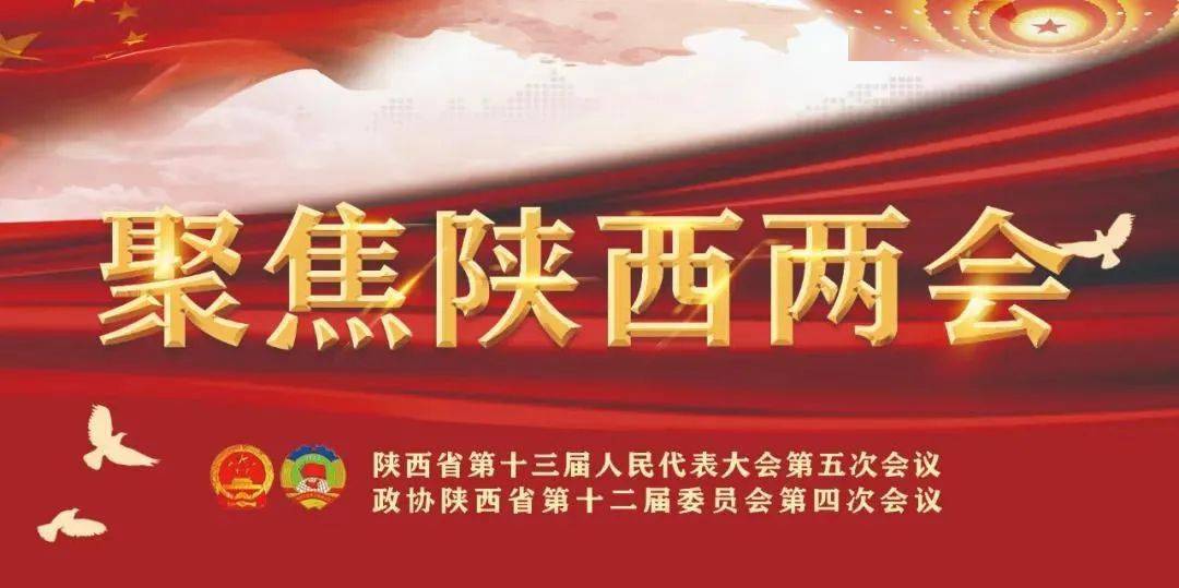 探索正版资料的世界——协商释义解释落实与9944cc天下彩正版资料大全