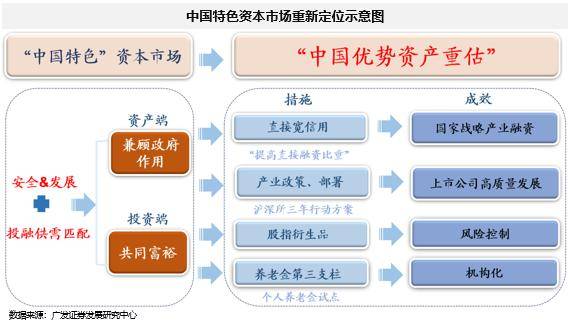 白小姐一码一肖中特一肖，团队释义、解释与落实