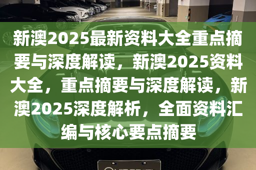 新澳姿料大全正版资料2025，走向释义解释落实