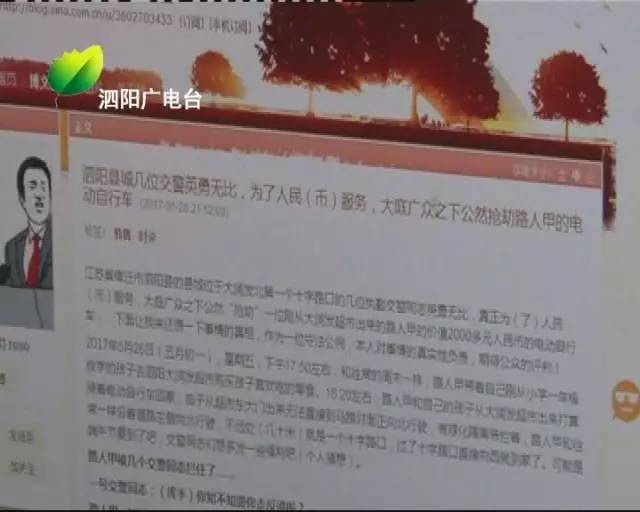 一码一肖与夙兴释义，深度解析与实际应用