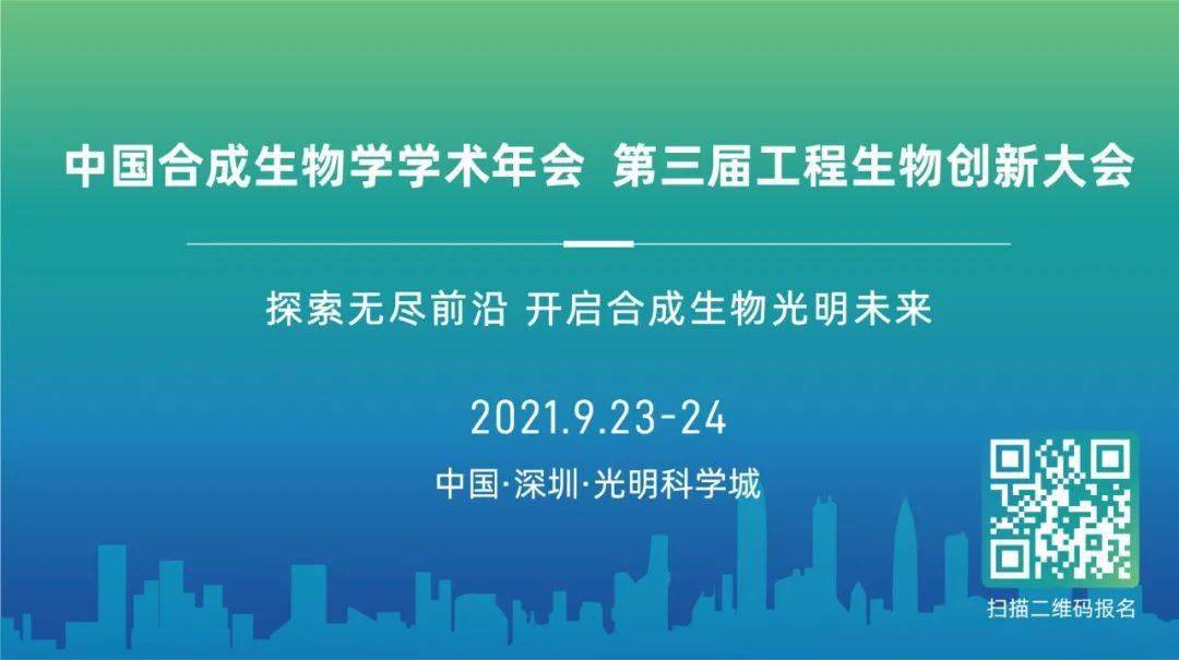 探索未来，关于新澳资料大全的免费下载与独特释义落实