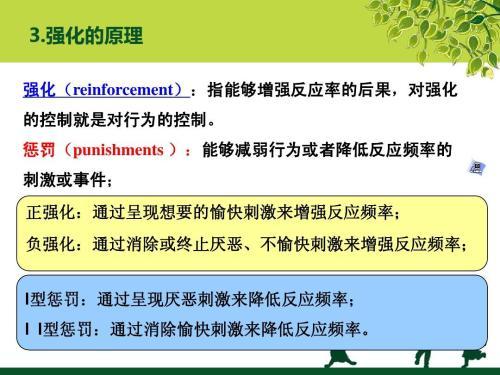 澳门最精准正最精准龙门蚕2025，流程释义解释与落实策略