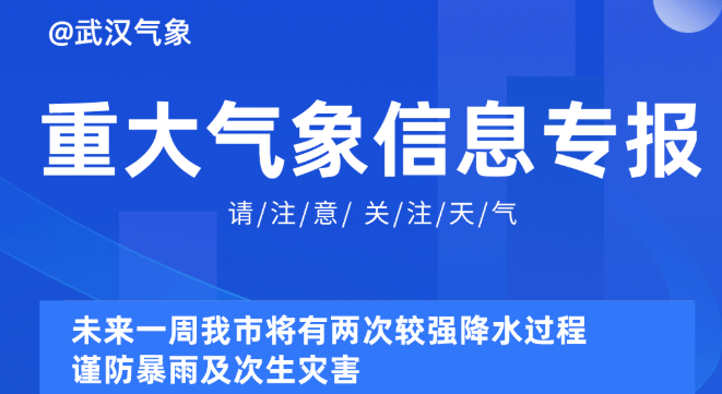 探索未来，新奥正版资料免费大全的性解释义与落实策略