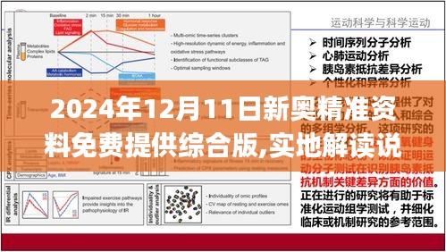 新澳精准资料免费提供221期，术研释义解释落实的重要性与方法