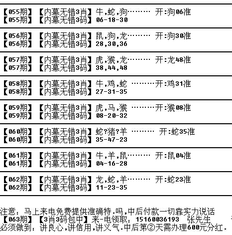 解读十二生肖与数字49的关联，进度释义、解释与落实