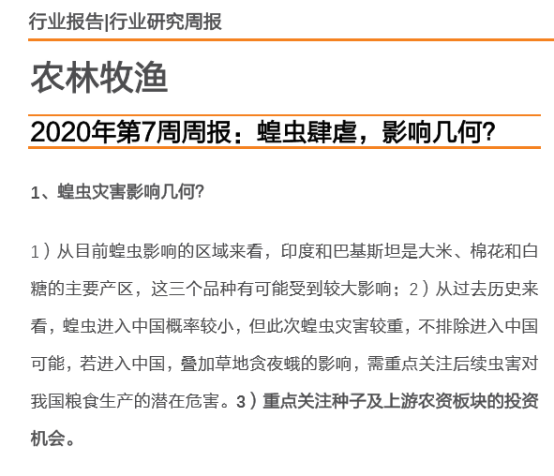 澳门今晚开特马，安全释义解释与落实的重要性